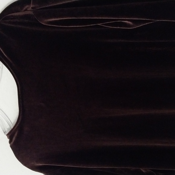 COLDWATER CREEK Brown Velvet Tunic Crew Neck Long Sleeve Top Size Large - Picture 9 of 16